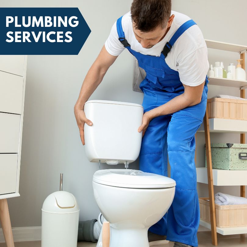 Plumbing Company in Pewamo, MI